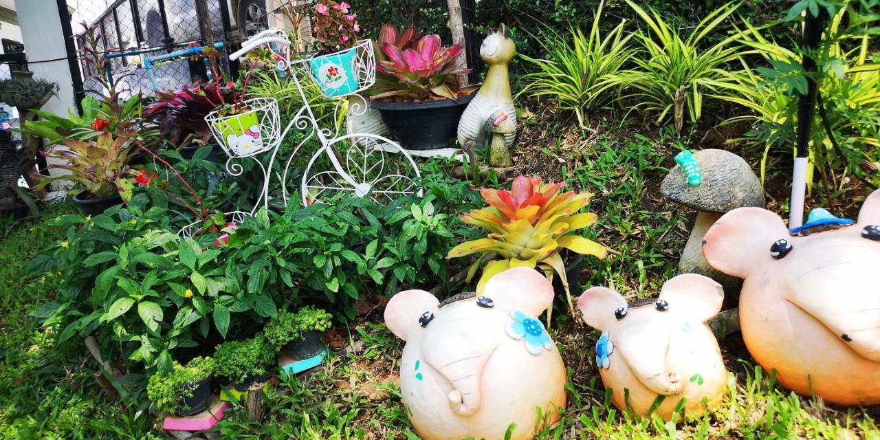 บ้านปลายฝัน Baanplaifun Ban Huai Phai Extérieur photo